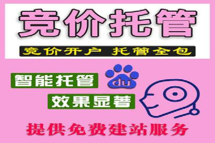 SEM网络推广实战案例：如何实现快速转化